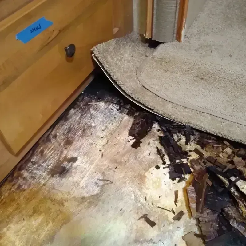 Best Wood Floor Water Damage Service in Lathrup Village, MI